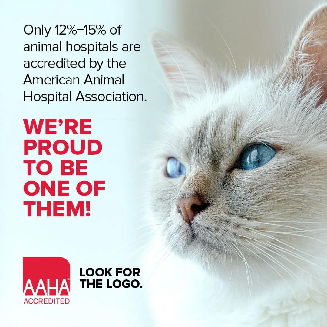 Proud-to-be-AAHA-Accredited